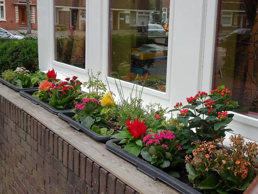 Xaviera'S Bed And Breakfast Ámsterdam